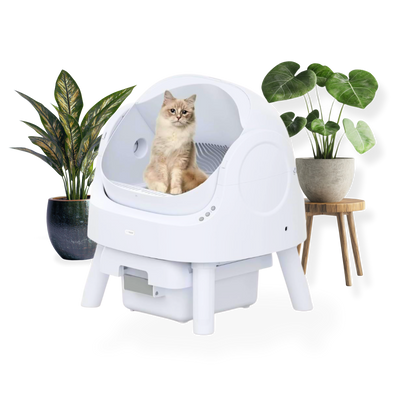 Catnary® Self-Cleaning Litter Box