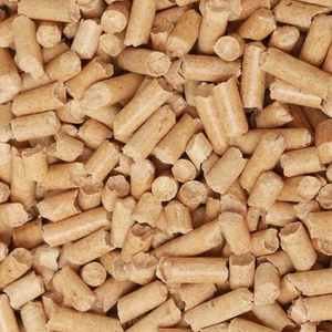 Pine Litter